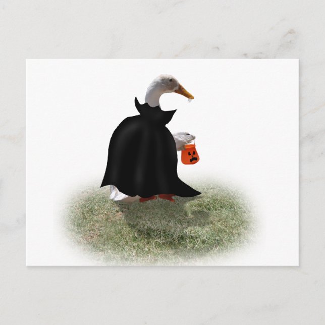 Count Duckula is on his way! Postcard (Front)