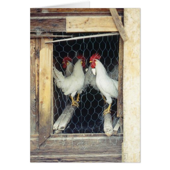 Count yer chickens card