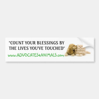 Count Your Blessings- BUMPER STICKER
