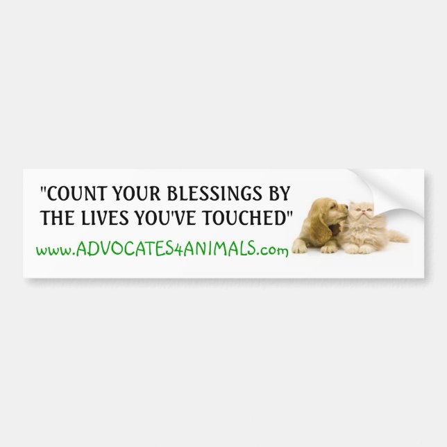 Count Your Blessings- BUMPER STICKER (Front)