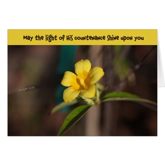 Countenance on Carolina (Front Horizontal)