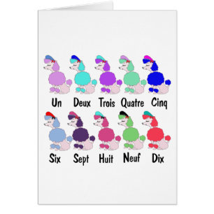 Counting French Poodle