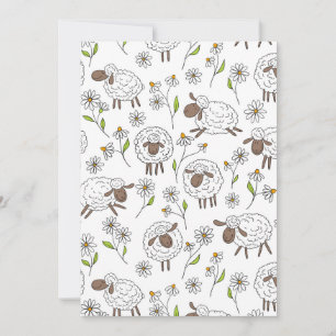 Counting sheep on white