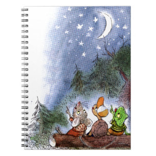 Counting the Stars Notebook