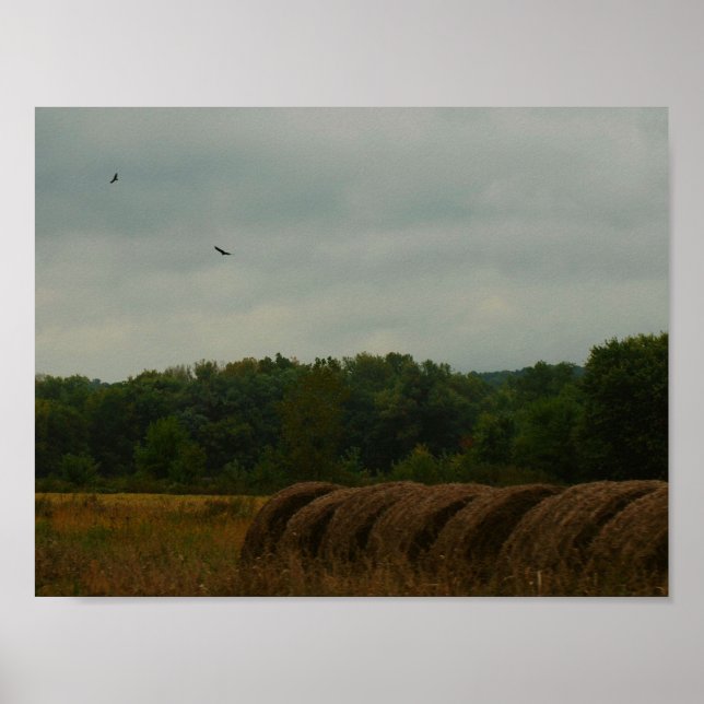 Country Bales Poster (Front)
