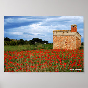 Country Barn in Floral Poppy Field Poster