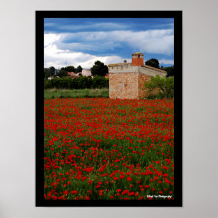 Country Barn in Poppy Field Portrait Poster