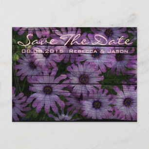 country barn wood  purple daisy wedding announcement postcard