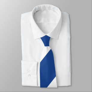 Country Blue and White Broad Regimental Stripe Tie