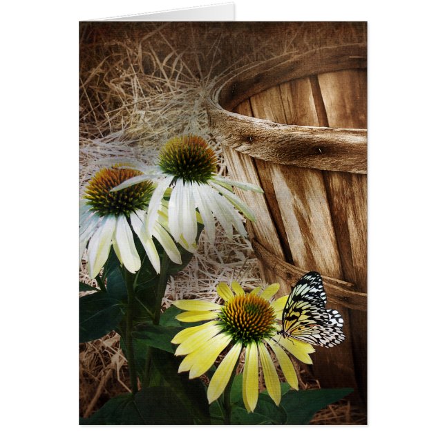 Country Butterfly (Front)