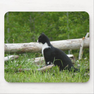 Country Cat Mouse Pad