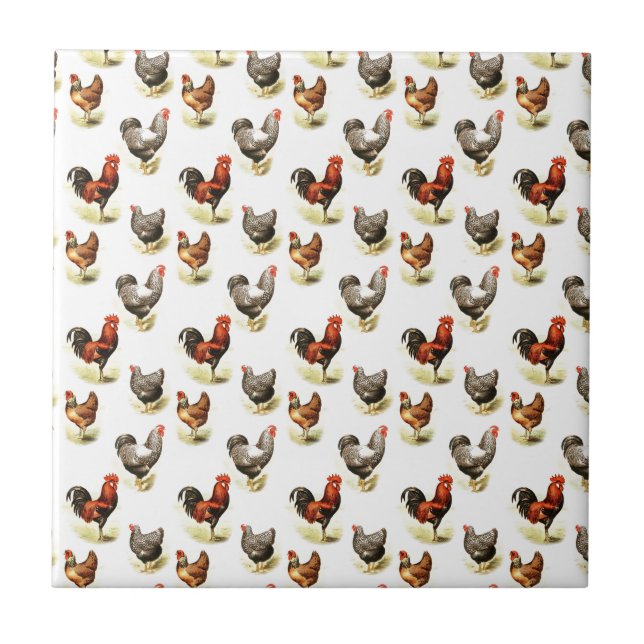 Country Chicken Pattern Tile (Front)
