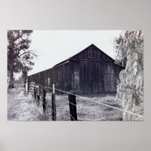 Country Collection - Standing Alone Poster