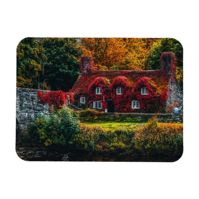 Country Cottage with Red Vines Covering Home Magnet (Horizontal)