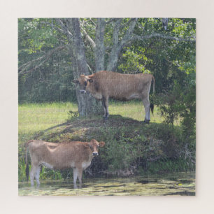 Country Cows Cooling Off Jigsaw Puzzle