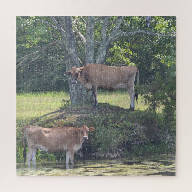 Country Cows Cooling Off Jigsaw Puzzle (Vertical)