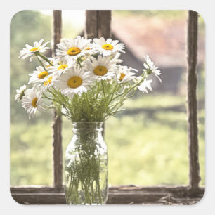Country Daisy Bouquet In Window Square Sticker
