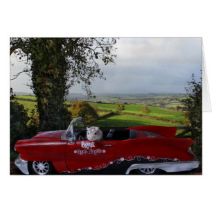 Country Drive