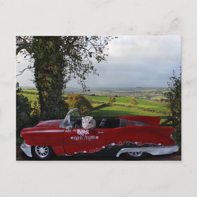 Country Drive Postcard (Front)