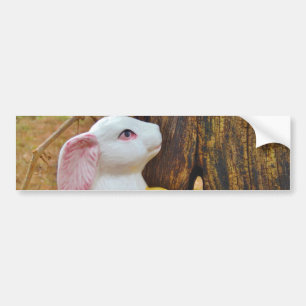 Country Easter Bunny Bumper Sticker