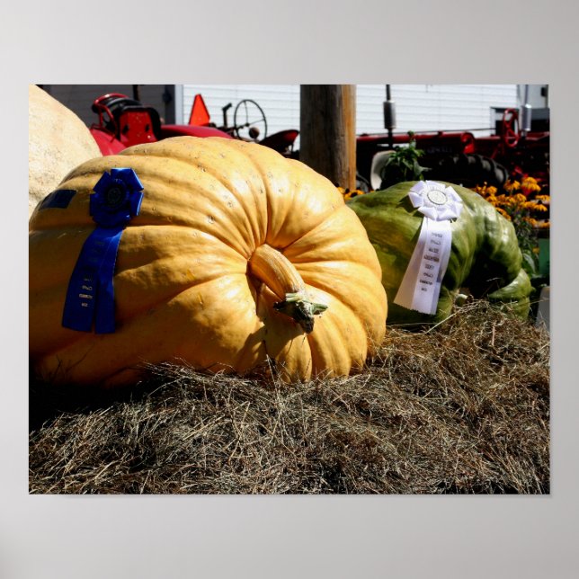 Country Fair Giant Pumpkin Blue Ribbon Poster (Front)