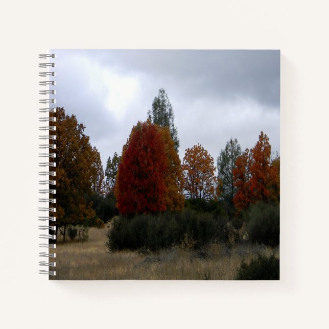 Country Fall colours.... Notebook (Front)