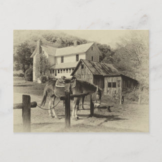 Country Farm Scene Post Card