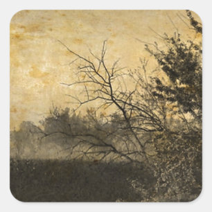 Country Field landscape Rustic Winter Trees Square Sticker