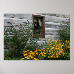 Country Flowers Poster