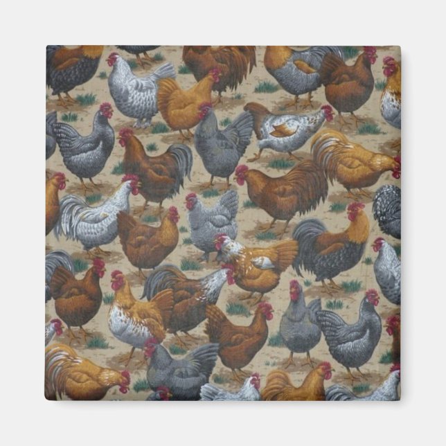 Country Fun Roosters & Hens Fridge Magnet (Front)