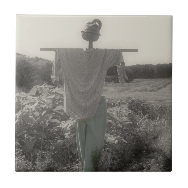 Country Garden Scarecrow Black And White Ceramic Tile (Front)
