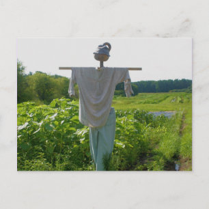 Country Garden Scarecrow Nature Postcard