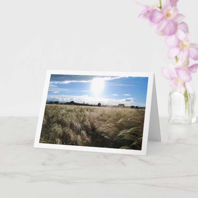 Country Grass Sunrise Landscape Card (Orchid)