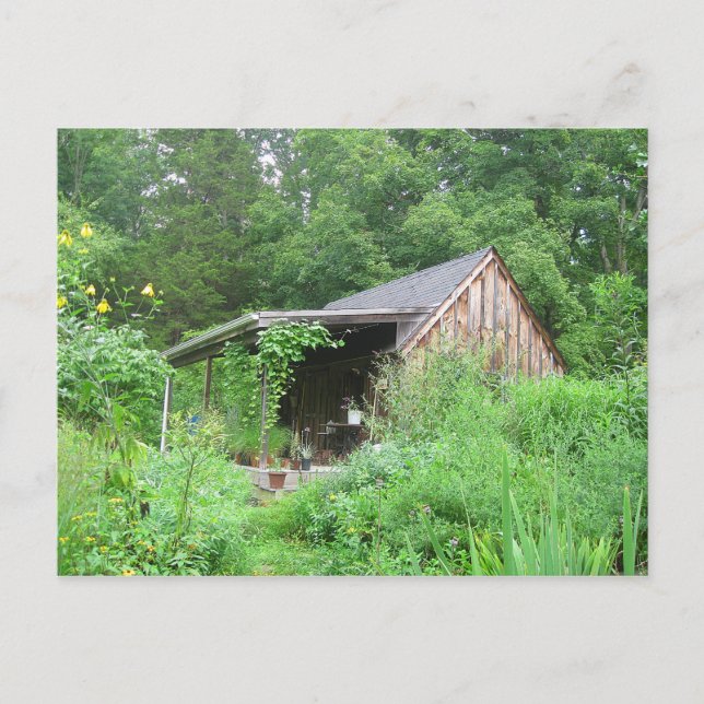 Country Herb Store Postcard (Front)