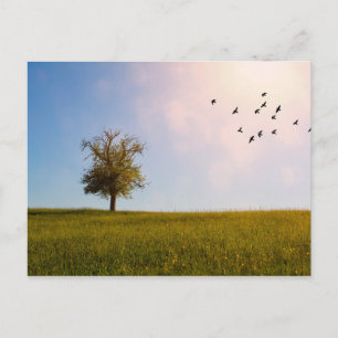Country idyll postcard