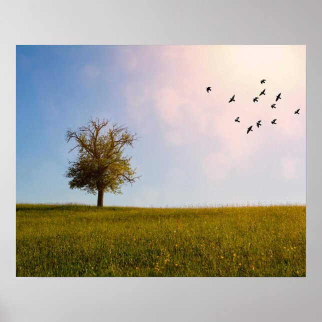 Country idyll with birds poster (Front)
