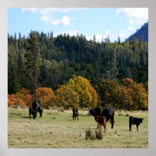Country in the Fall... Poster