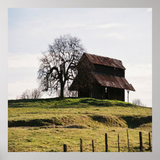 Country in the Fall...... Poster