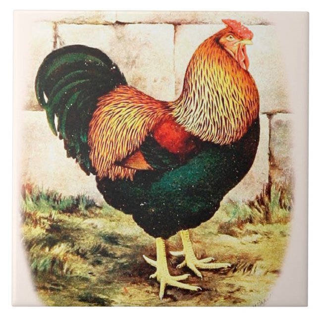 Country Kitchen Decorative Wall Tile Fancy Rooster (Front)