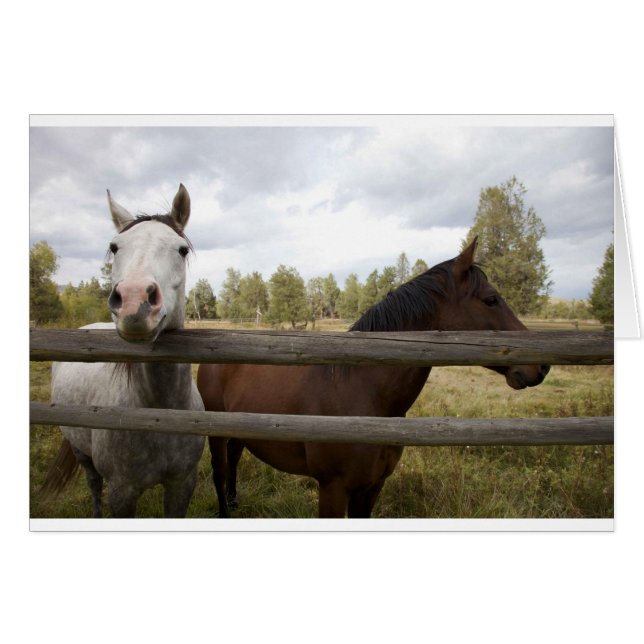 COUNTRY LANDSCAPES (Front Horizontal)
