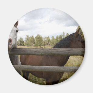 COUNTRY LANDSCAPES MAGNET