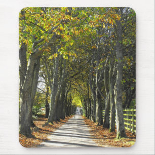 Country lane in Jersey Channel islands Mouse Pad