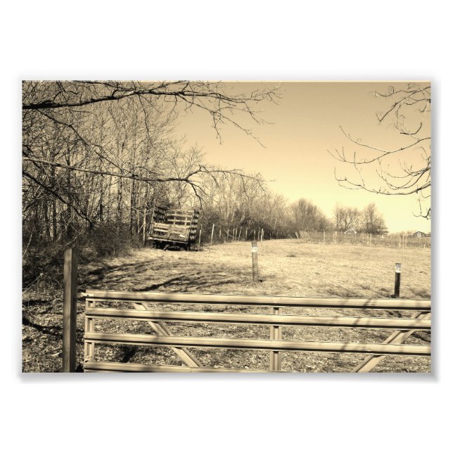 Country Life 7x5 Black and White Photographic Prin Photo Print (Front)
