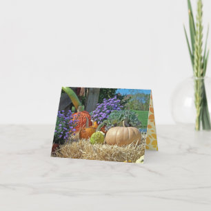 Country Life Autumn Gourds Happy Thanksgiving Holiday Card