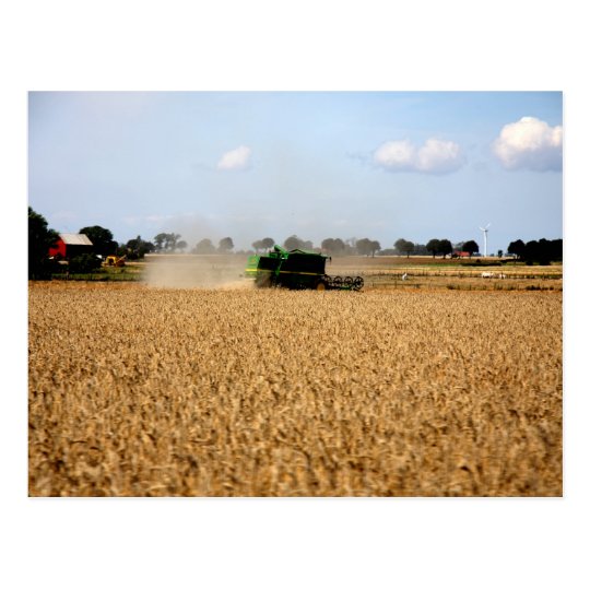 Country life postcard