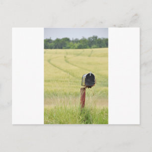Country Mailbox Postcard