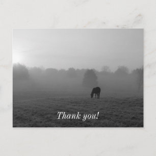 Country Morning Grayscale Thank You Postcard