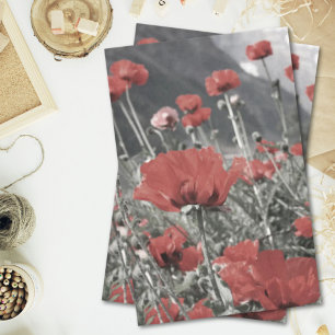 country nature landscape red poppy flower tissue paper