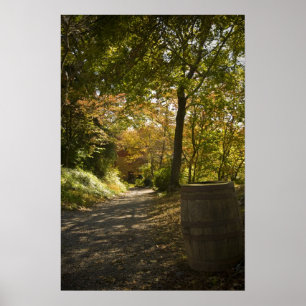 Country Path Print