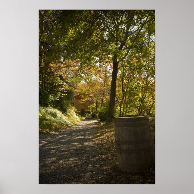 Country Path Print (Front)